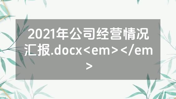 2021年公司经营情况汇报.docx<em></em>
