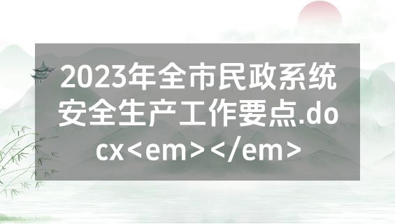 2023年全市民政系统安全生产工作要点.docx<em></em>