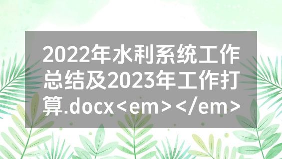 2022年水利系统工作总结及2023年工作打算.docx<em></em>