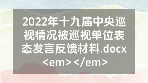 2022年十九届中央巡视情况被巡视单位表态发言反馈材料.docx<em></em>