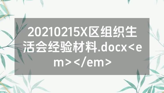 20210215X区组织生活会经验材料.docx<em></em>