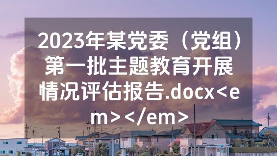 2023年某党委（党组）第一批主题教育开展情况评估报告.docx<em></em>