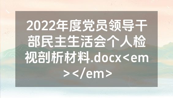 2022年度党员领导干部民主生活会个人检视剖析材料.docx<em></em>