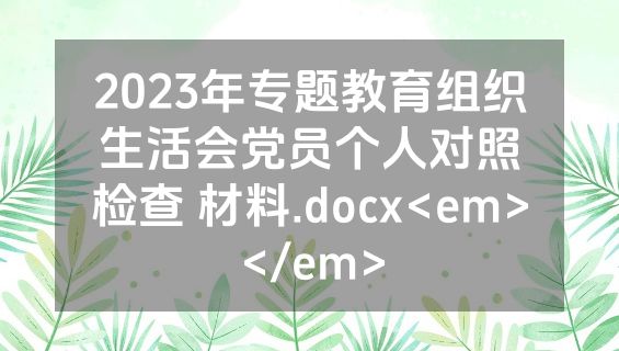 2023年专题教育组织生活会党员个人对照检查 材料.docx<em></em>