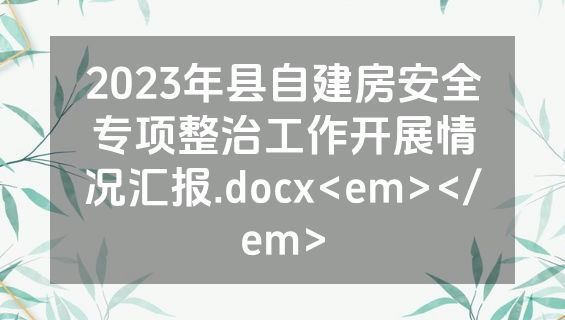 2023年县自建房安全专项整治工作开展情况汇报.docx<em></em>