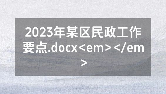 2023年某区民政工作要点.docx<em></em>