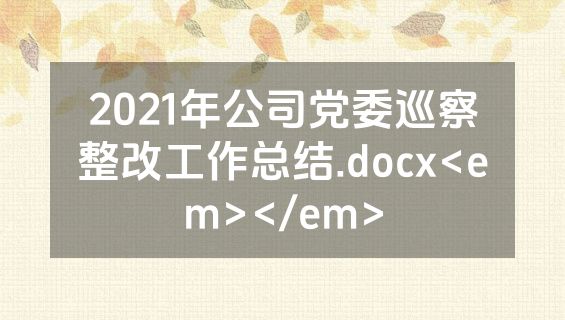 2021年公司党委巡察整改工作总结.docx<em></em>