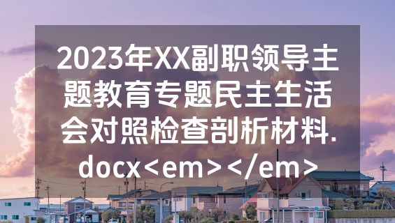 2023年XX副职领导主题教育专题民主生活会对照检查剖析材料.docx<em></em>