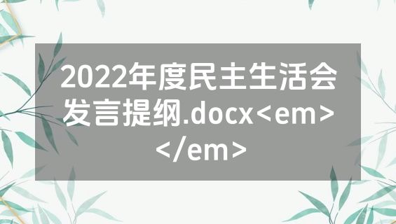 2022年度民主生活会发言提纲.docx<em></em>