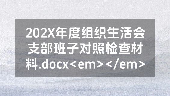 202X年度组织生活会支部班子对照检查材料.docx<em></em>