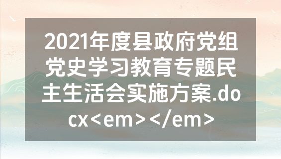 2021年度县政府党组党史学习教育专题民主生活会实施方案.docx<em></em>