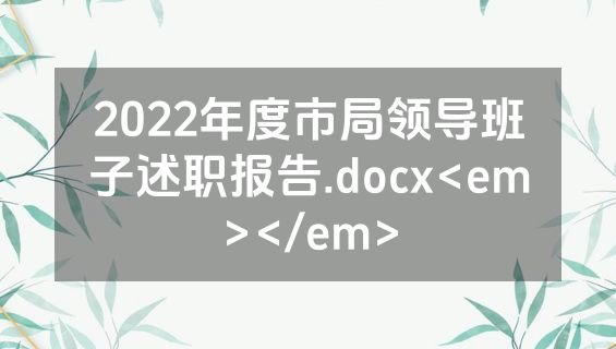 2022年度市局领导班子述职报告.docx<em></em>