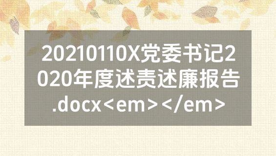 20210110X党委书记2020年度述责述廉报告.docx<em></em>