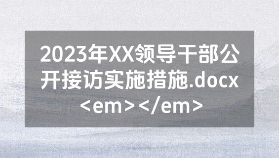 2023年XX领导干部公开接访实施措施.docx<em></em>