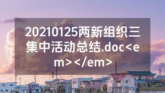 20210125两新组织三集中活动总结.doc<em></em>
