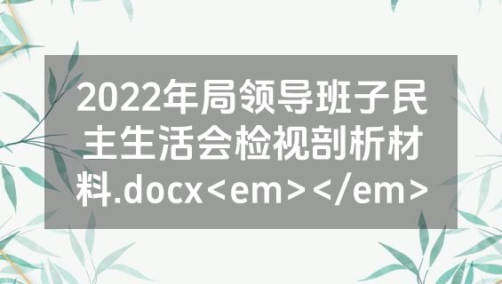 2022年局领导班子民主生活会检视剖析材料.docx<em></em>