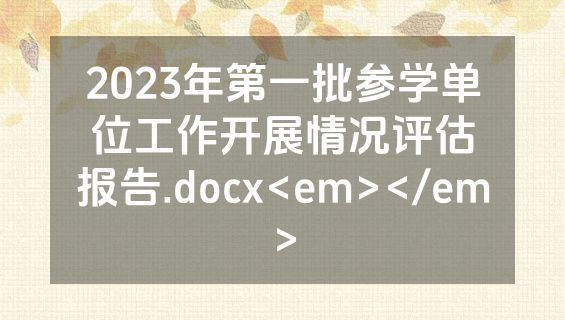 2023年第一批参学单位工作开展情况评估报告.docx<em></em>