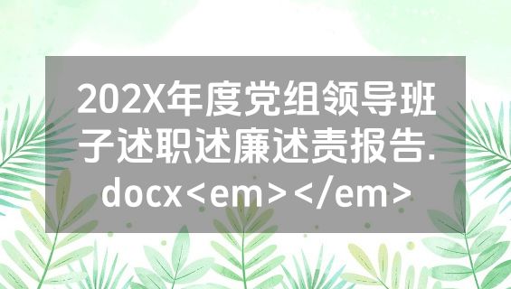 202X年度党组领导班子述职述廉述责报告.docx<em></em>