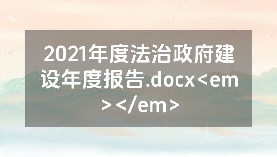 2021年度法治政府建设年度报告.docx<em></em>
