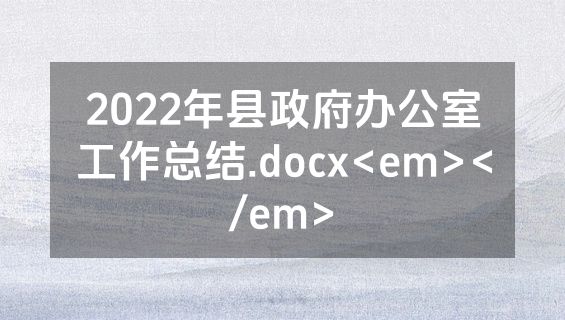 2022年县政府办公室工作总结.docx<em></em>