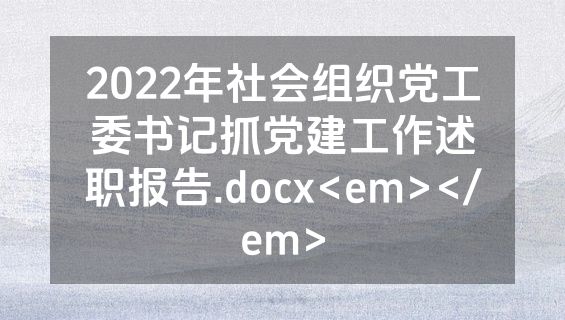 2022年社会组织党工委书记抓党建工作述职报告.docx<em></em>