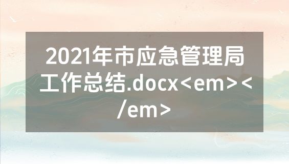 2021年市应急管理局工作总结.docx<em></em>