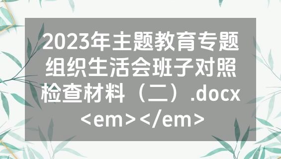 2023年主题教育专题组织生活会班子对照检查材料（二）.docx<em></em>