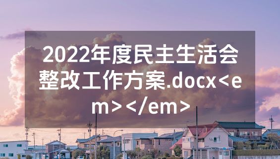 2022年度民主生活会整改工作方案.docx<em></em>