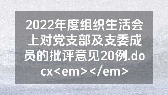 2022年度组织生活会上对党支部及支委成员的批评意见20例.docx<em></em>