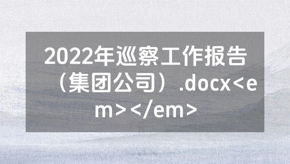 2022年巡察工作报告（集团公司）.docx<em></em>