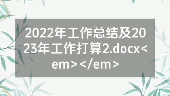 2022年工作总结及2023年工作打算2.docx<em></em>