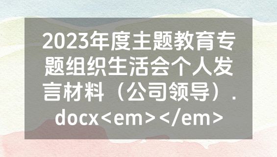 2023年度主题教育专题组织生活会个人发言材料（公司领导）.docx<em></em>