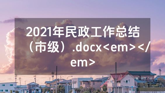 2021年民政工作总结（市级）.docx<em></em>