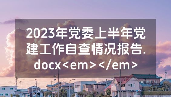 2023年党委上半年党建工作自查情况报告.docx<em></em>