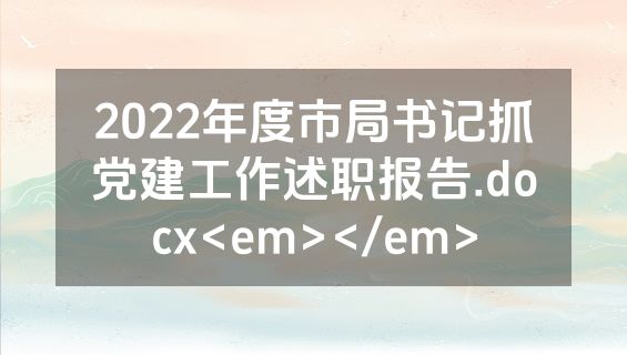 2022年度市局书记抓党建工作述职报告.docx<em></em>