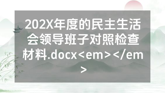 202X年度的民主生活会领导班子对照检查材料.docx<em></em>