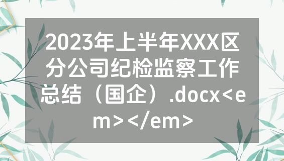 2023年上半年XXX区分公司纪检监察工作总结（国企）.docx<em></em>