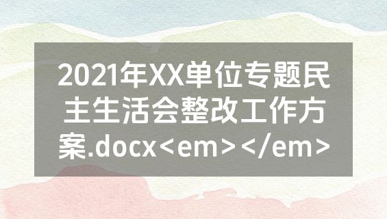 2021年XX单位专题民主生活会整改工作方案.docx<em></em>