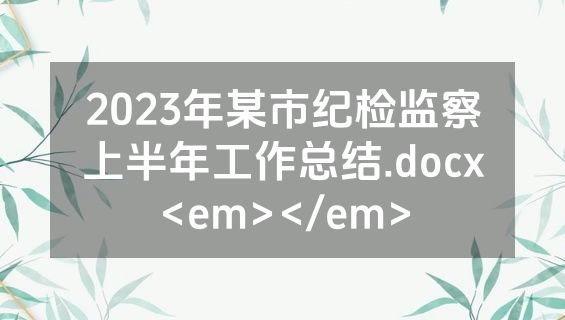 2023年某市纪检监察上半年工作总结.docx<em></em>