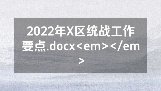 2022年X区统战工作要点.docx<em></em>