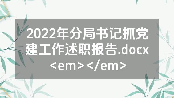 2022年分局书记抓党建工作述职报告.docx<em></em>