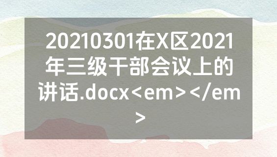 20210301在X区2021年三级干部会议上的讲话.docx<em></em>