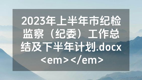 2023年上半年市纪检监察（纪委）工作总结及下半年计划.docx<em></em>