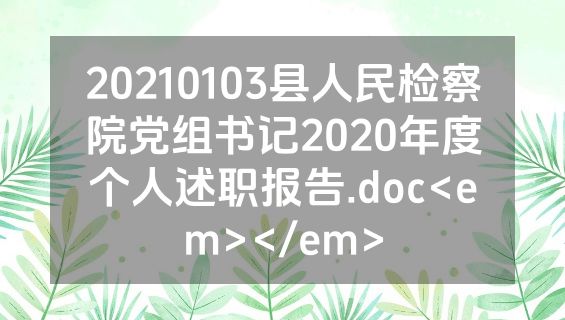 20210103县人民检察院党组书记2020年度个人述职报告.doc<em></em>