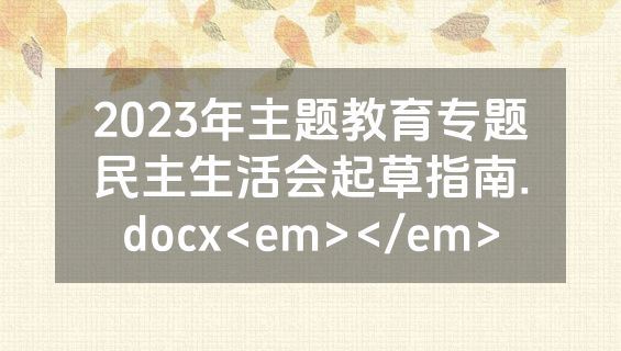 2023年主题教育专题民主生活会起草指南.docx<em></em>