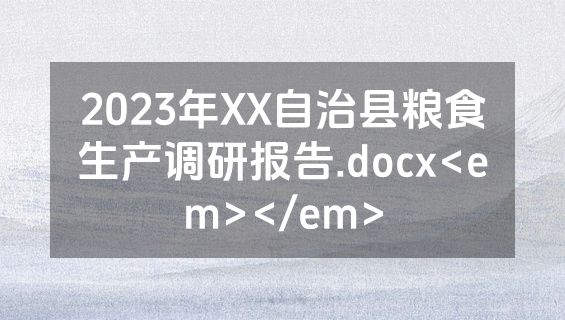 2023年XX自治县粮食生产调研报告.docx<em></em>