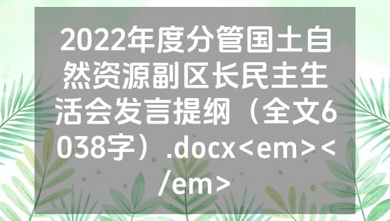 2022年度分管国土自然资源副区长民主生活会发言提纲（全文6038字）.docx<em></em>