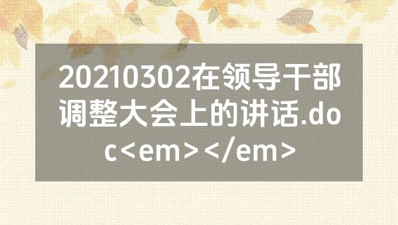 20210302在领导干部调整大会上的讲话.doc<em></em>