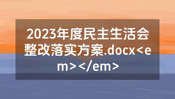 2023年度民主生活会整改落实方案.docx<em></em>