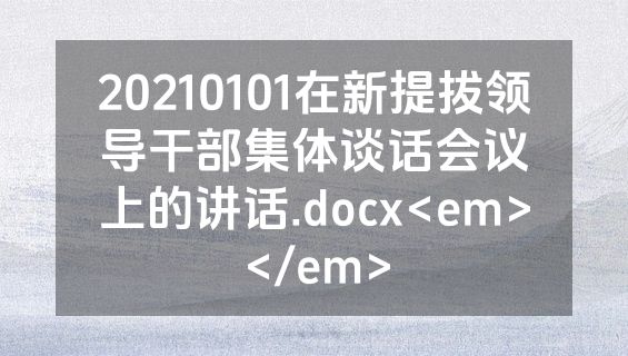 20210101在新提拔领导干部集体谈话会议上的讲话.docx<em></em>